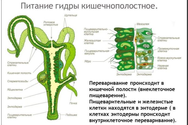 Кракен сайт даркнет зеркало